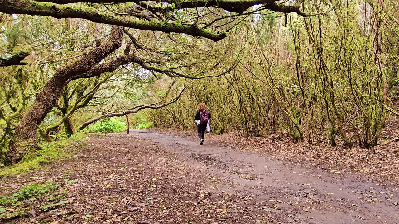 A person walking along a forest trail in Anaga, Spain surrounded by lush trees