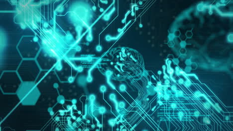 animación de la red de conexiones a través de datos y cerebros
