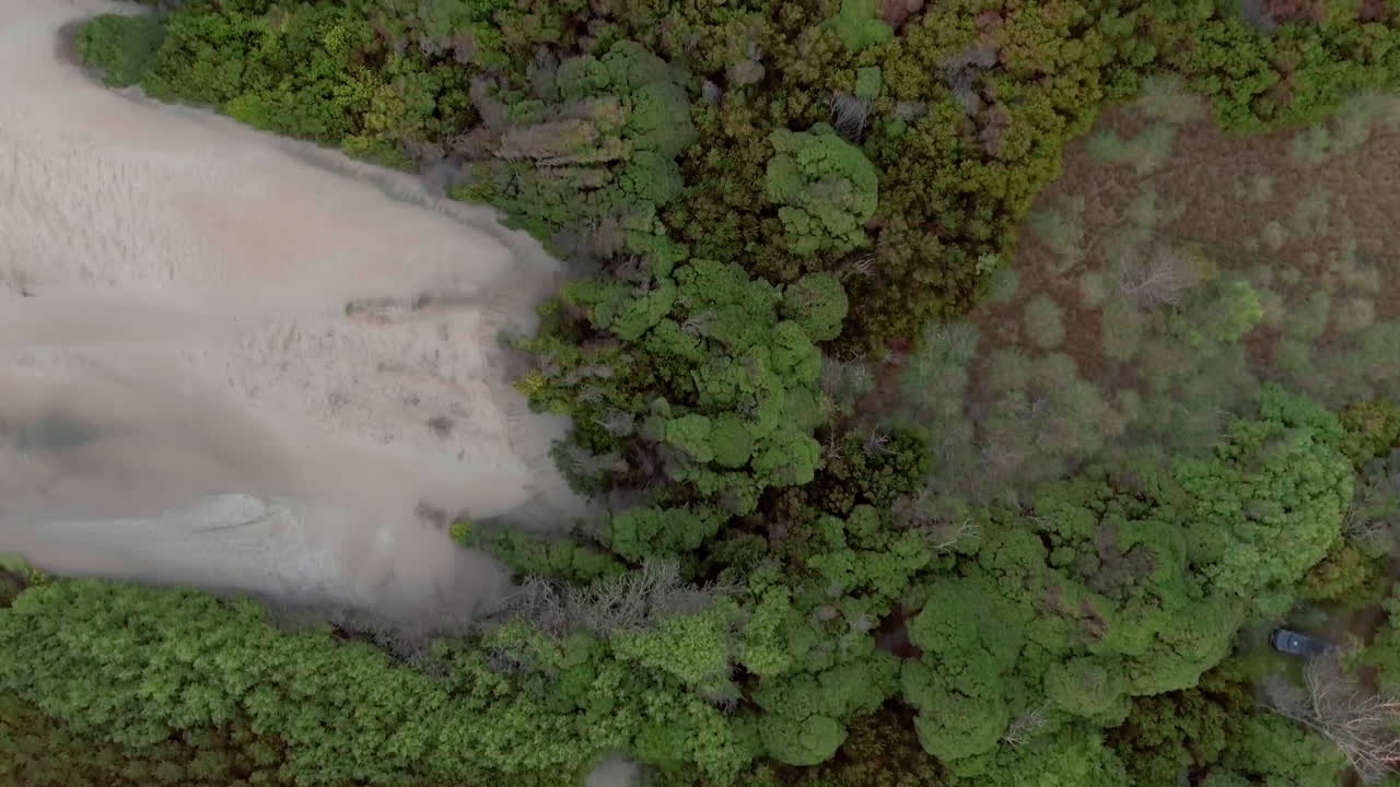 aéreo - bosque alrededor del lago salado mar chiquita, córdoba, argentina, de arriba hacia abajo