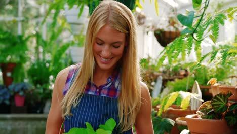 Beautiful-woman-holding-pot-plant