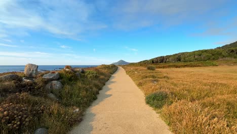 long and lonesome stone road leading into horizon near north atlantic ocean in portugal