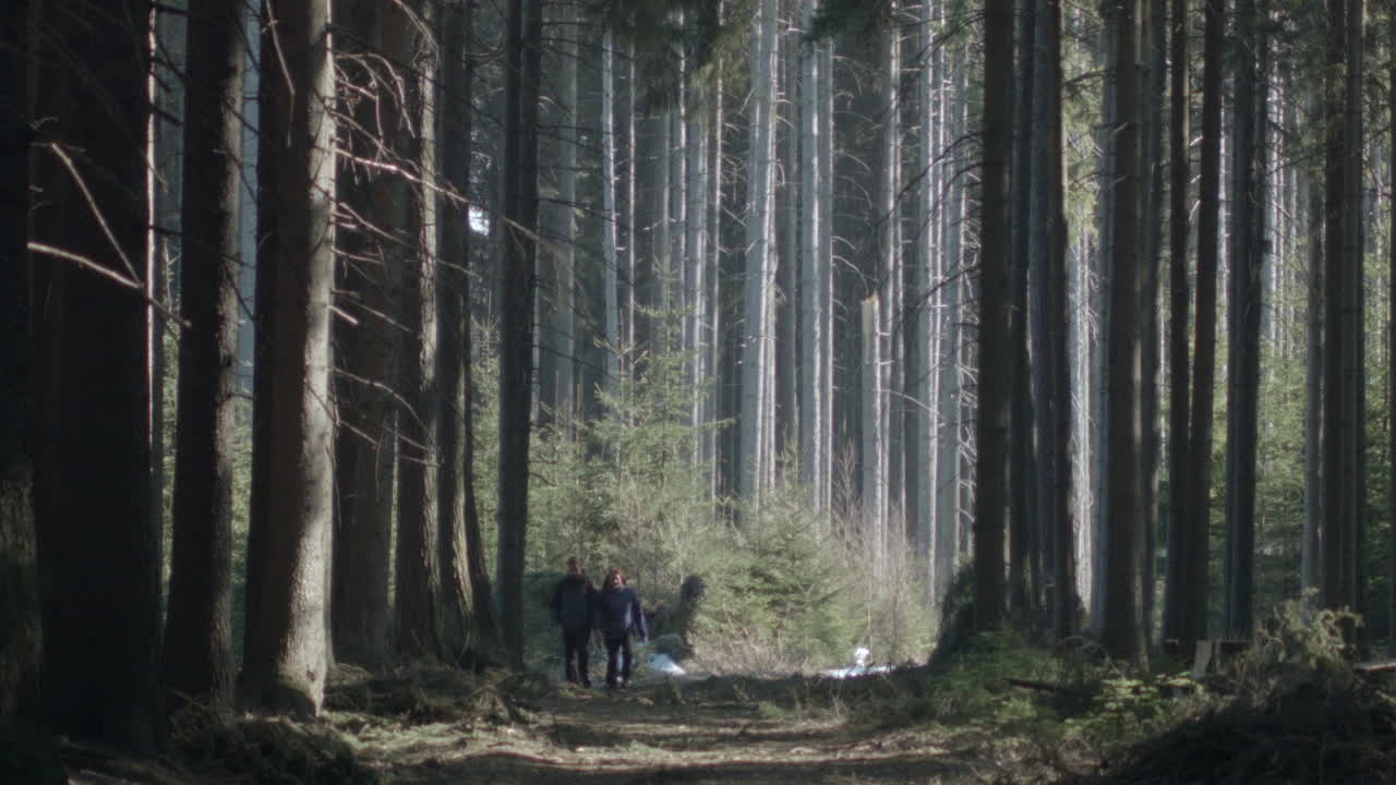 Tourist couple holding hands walking through a epic forest scene.