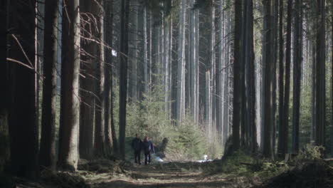 tourist couple holding hands walking through a epic forest scene.