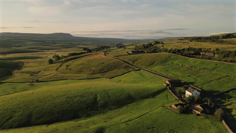 establishing drone shot over fields of sheep and farmhouse in yorkshire dales at golden hour