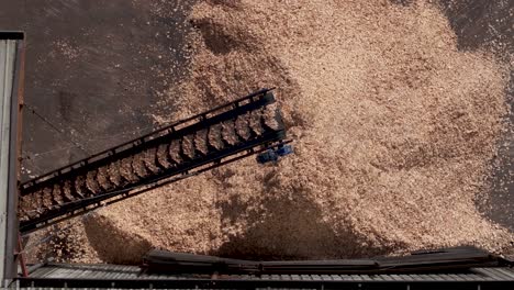 wood chips transported to a stockpile by a belt conveyor at sawmill