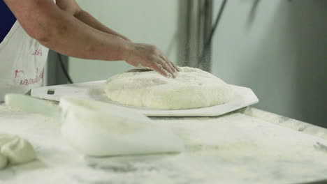 Baker-Put-And-Flatten-The-Kneaded-Dough-On-The-Divider-Plate-And-Sprinkle-With-Wheat-Flour-From-A-Scooper
