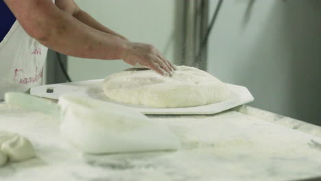 baker put and flatten the kneaded dough on the divider plate and sprinkle with wheat flour from a scooper