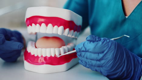 dental model with dentist's hands and tool