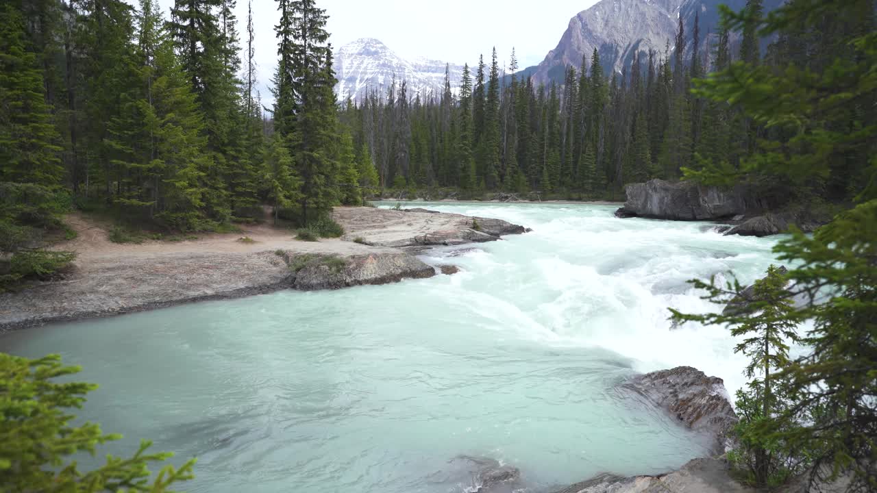 un lago revelado a través de los árboles, que fluye por un puente natural y rápidos