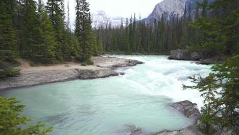 A-lake-revealed-through-trees,-flowing-down-a-natural-bridge-and-rapids