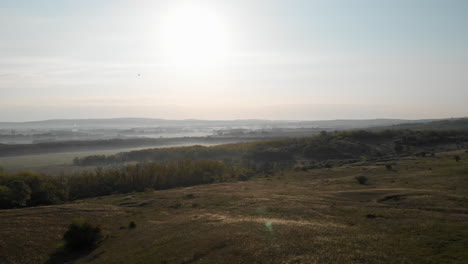 aerial establishing view of a foggy forest landscape at dawn