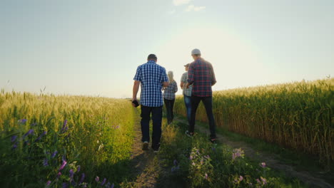 un grupo de agricultores caminando por los campos de trigo hablando de equipo exitoso y concepto de formación de equipos