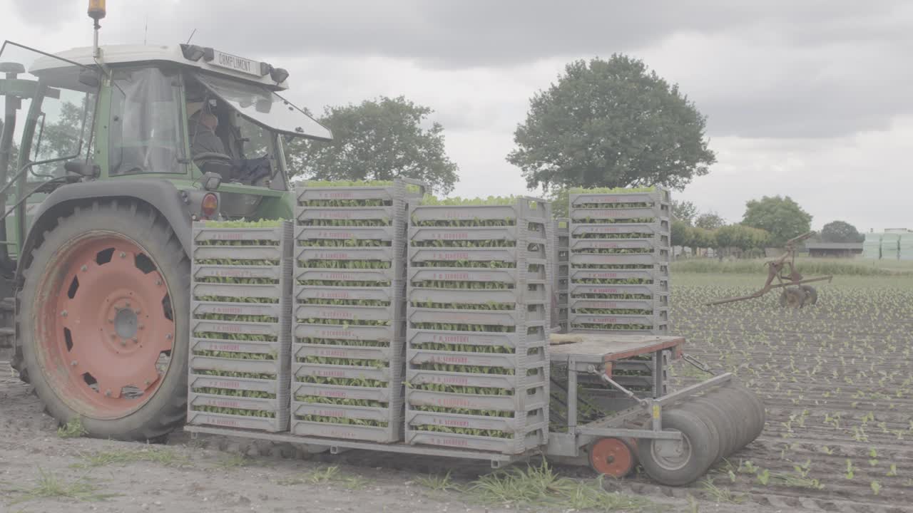 Total shot of People planting crops while on back of tractor