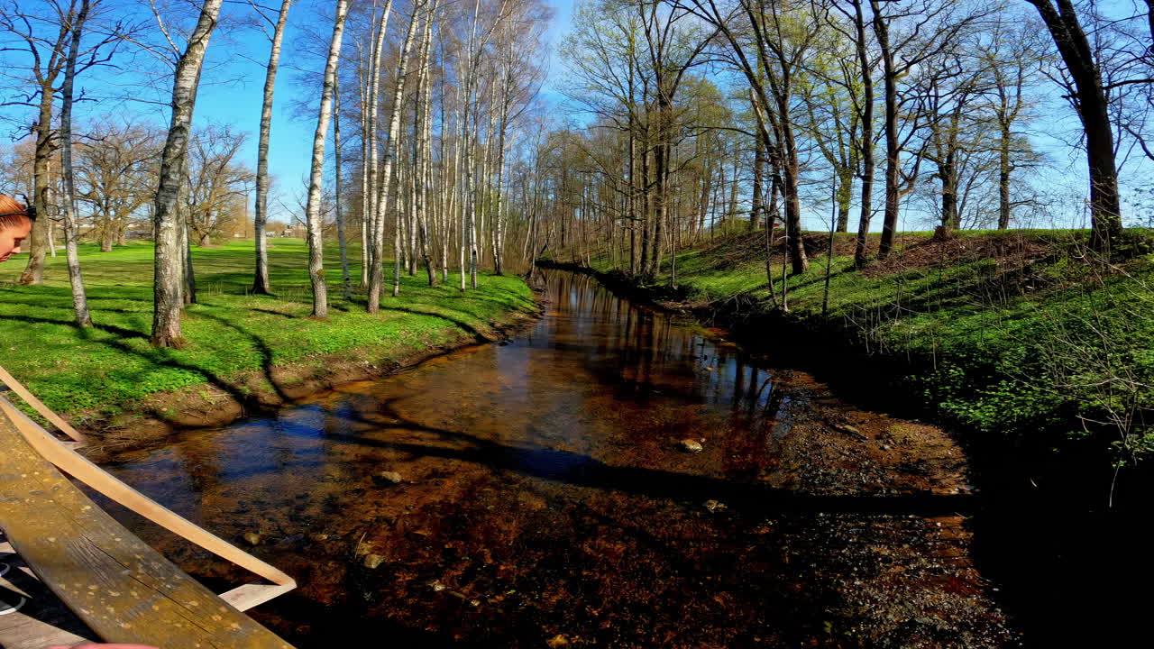 una joven admirando una vista rústica de un lago poco profundo rodeado de hierba y árboles desnudos