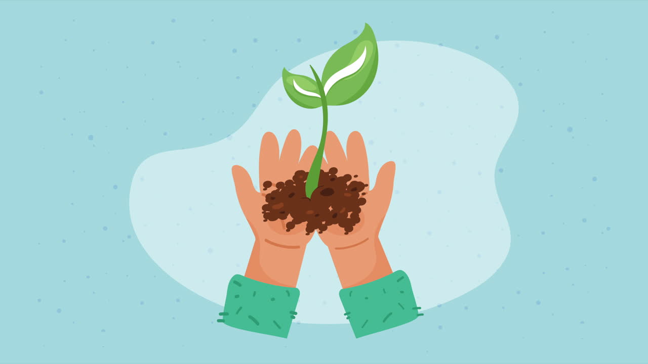 manos sosteniendo una pequeña planta en el suelo