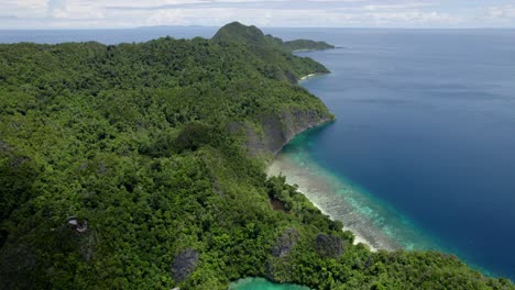 raja ampat aerial de la playa y el arrecife en un día caluroso y soleado