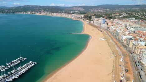 arriba, palamós revela su dinámico paseo marítimo bordeado de palmeras, invitando a paseos tranquilos a lo largo de la costa