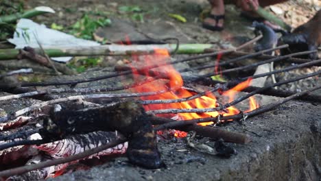 Ziegenbeine-Verbrannten-Mit-Feuer-Aus-Brennholz