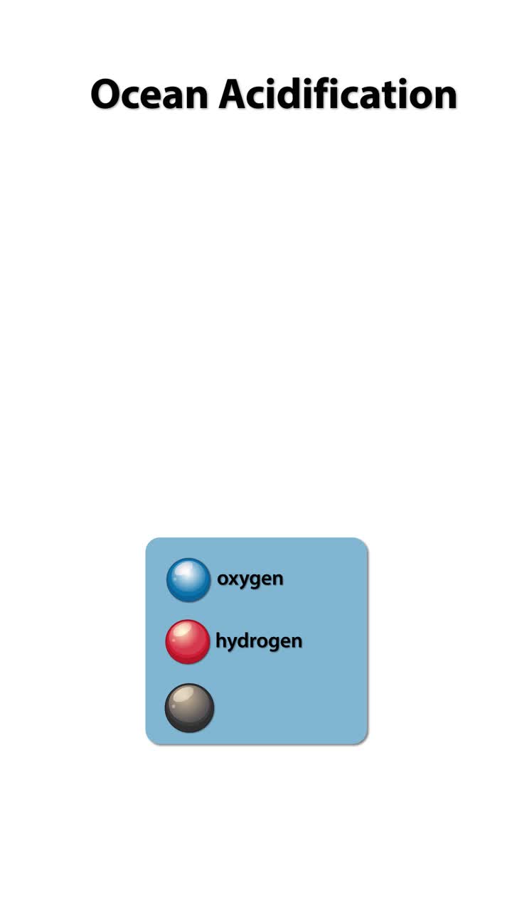Animation illustrates molecular interactions in ocean acidification, highlighting water, carbon dioxide, and carbonic acid formation