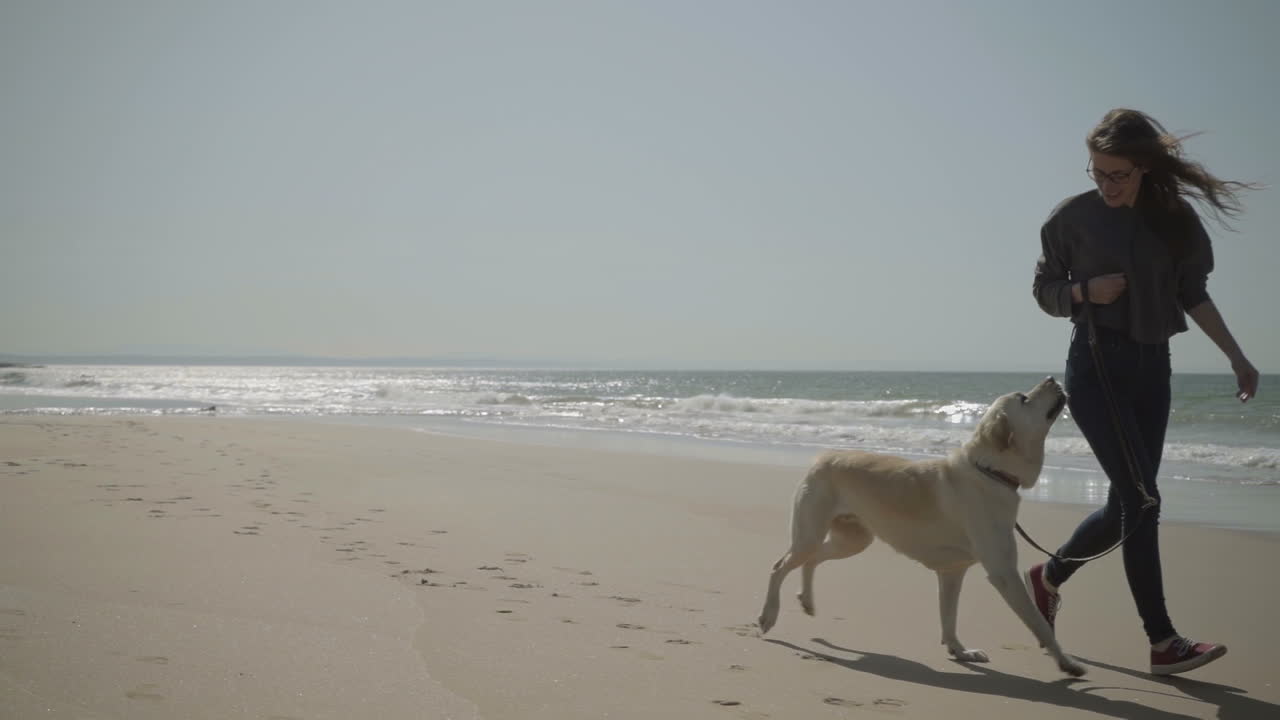 웃는 젊은 백인 여성이 개와 함께 야외에서 재미를 느끼고 있습니다.