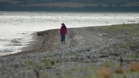 Una-Mujer-Con-Un-Pequeño-Perro-Blanco-Camina-Por-La-Playa-Rocosa