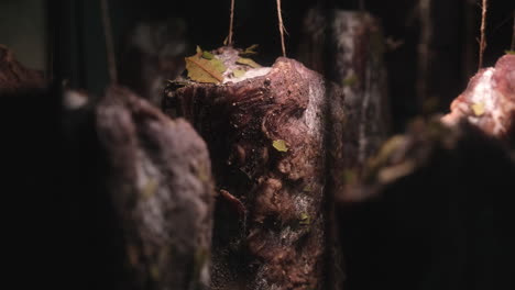 Hook-ripened-Meat,-hang-for-drying-at-the-butcher