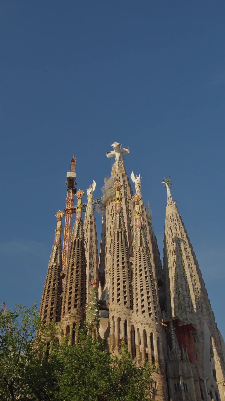 Basilica della Sagrada Familia vista attraverso una fitta chioma di alberi a Barcellona, Spagna, filmato di viaggio cinematografico verticale