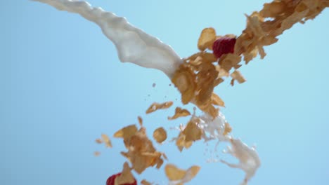 cereal and berries splashing with milk in slow motion