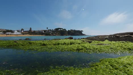 Playa-De-La-Fosca-En-Girona-Mar-Mediterraneo-Sin-Gente-Azul-Paradisiaco-Cielo-Azul-Turquesa-Roca-En-Primer-Plano-Algas-Verdes-En-La-Roca