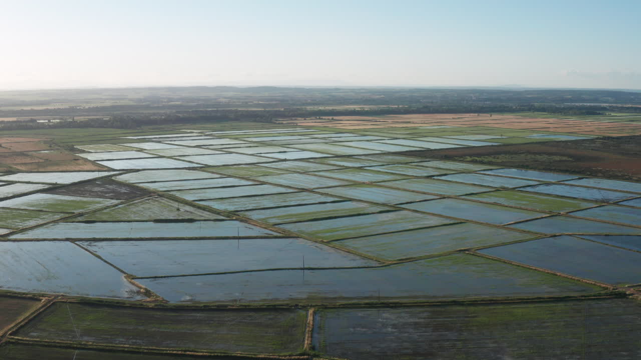 campos de arroz inundados viajando por el aire francia camargue día soleado