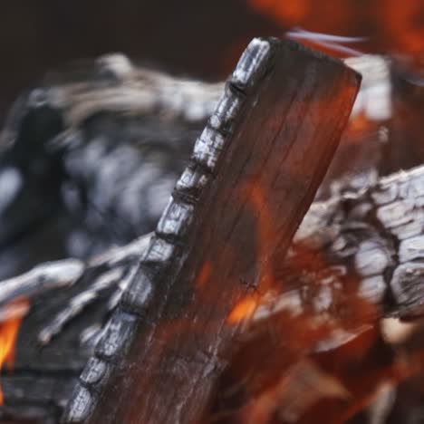campfire in nature close up