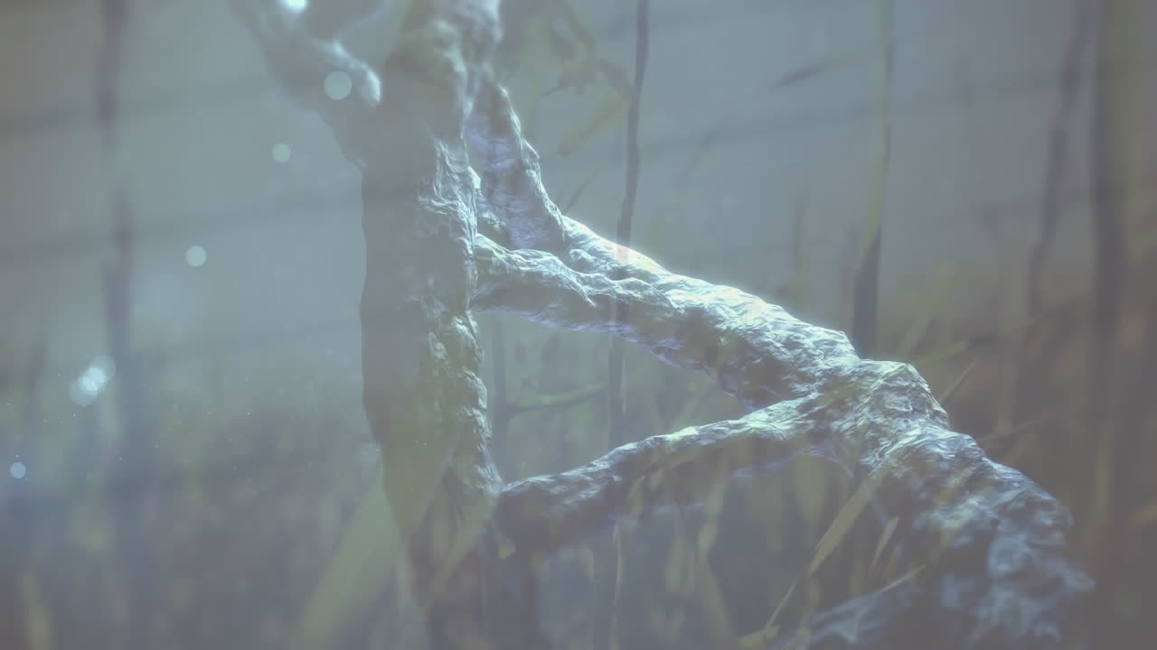 밝은 빛과 은 하늘을 배경으로 풀을 가진 3d dna 나선의 애니메이션