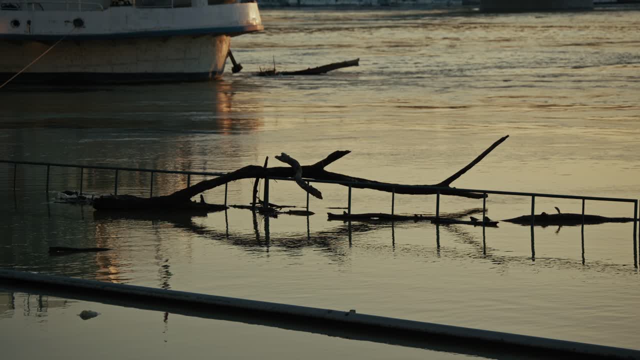 Debris, including large branches, caught on a submerged railing in the river at sunset, Budapest, Hungary