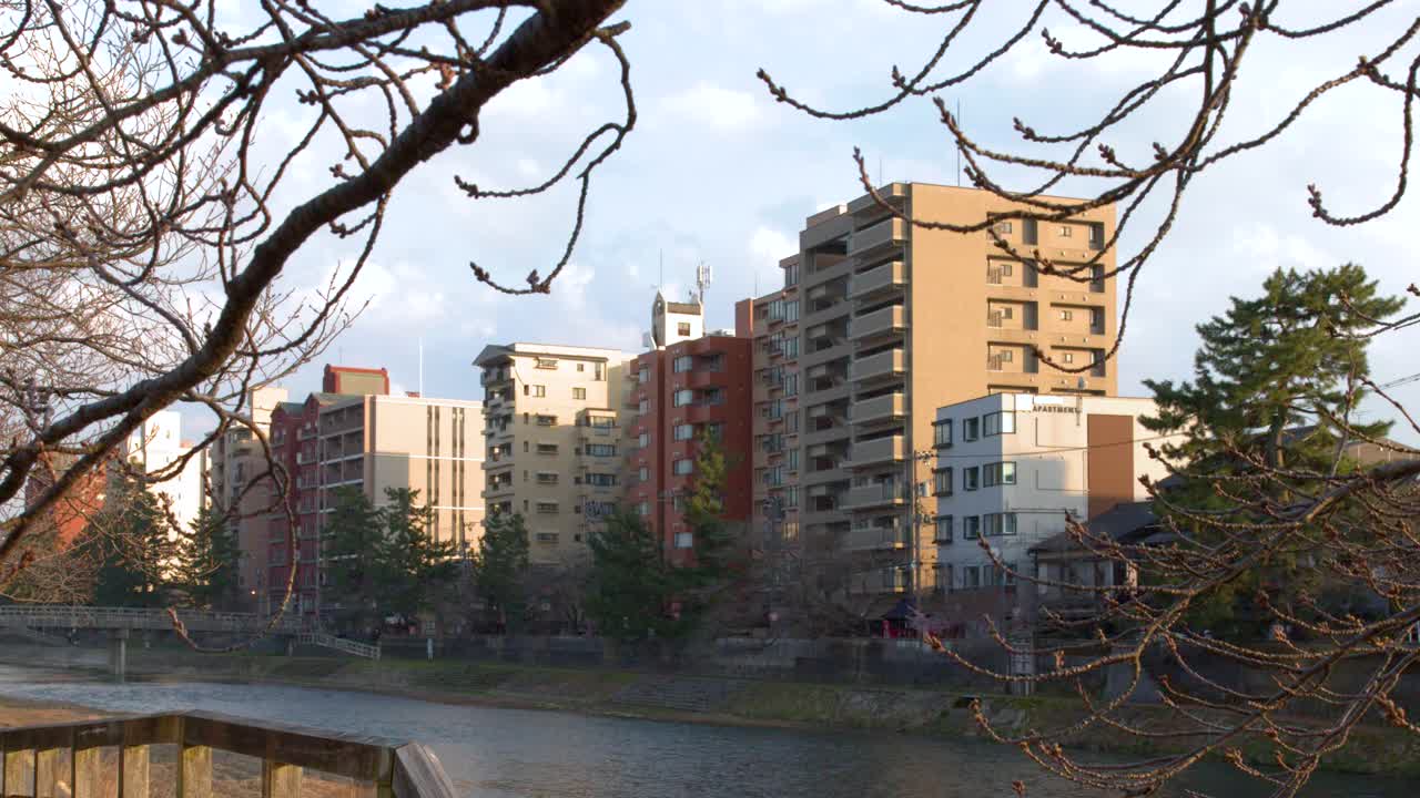 Inquadratura ampia statica di edifici residenziali e rami invernali spogli lungo il fiume Asano.