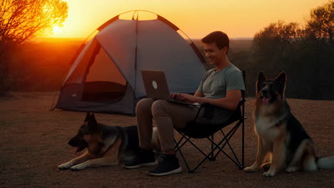 camping with dogs and laptop at sunset