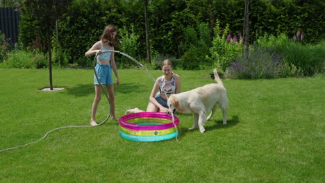 niños y perros disfrutando de la diversión del verano en el jardín