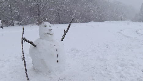 snowman in a snowy landscape