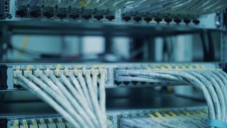 cables are organized and connected in a server rack located in a data center. the environment is high-tech with multiple servers running important processes.