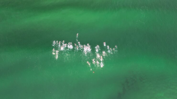 Competitors compete in an ocean swimming race at an Australian Surf Life Saving Championships
