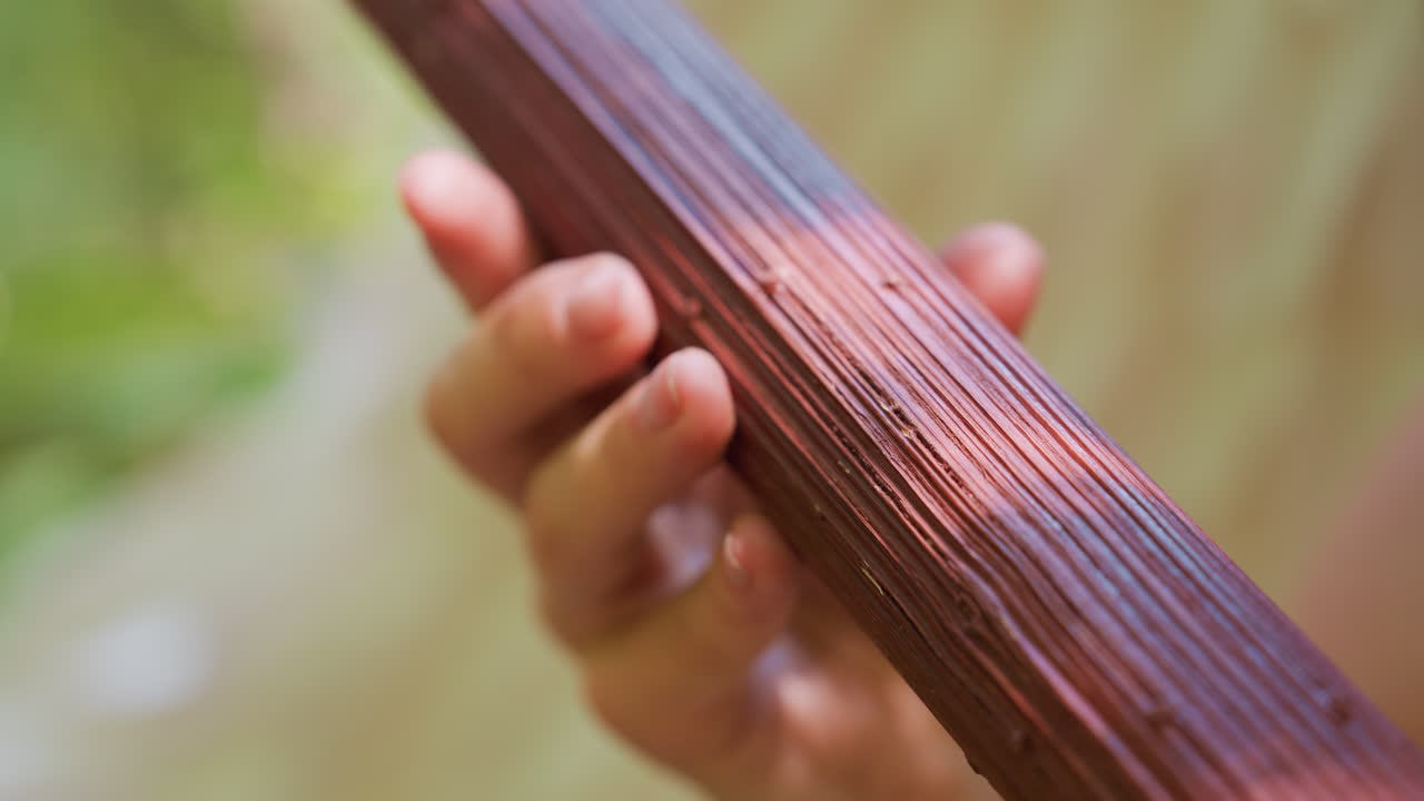Close up hand view of person gently turning wooden staff under warm sunlight, showcasing texture of ridged surface with soft blur background of greenery