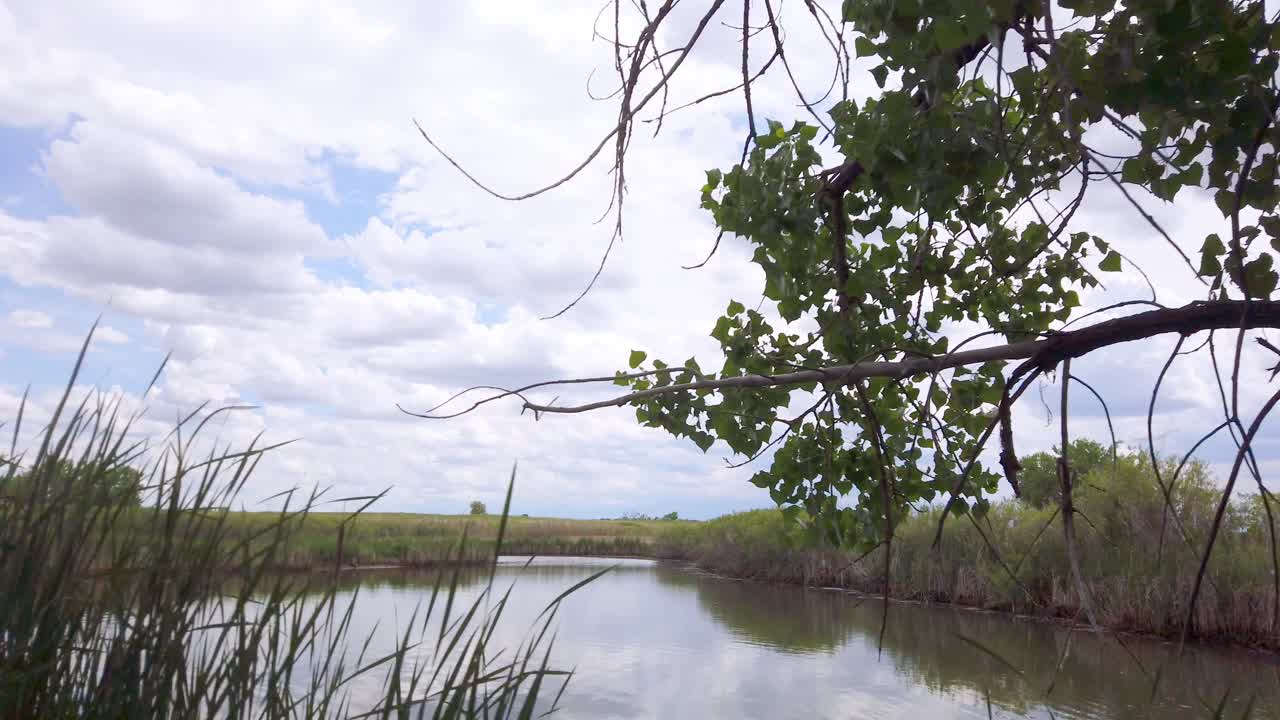 콜로라도 덴버의 록키 마운틴 아모리에서 메리 호수 기슭의 갈대를 가로지르는 팬트럭