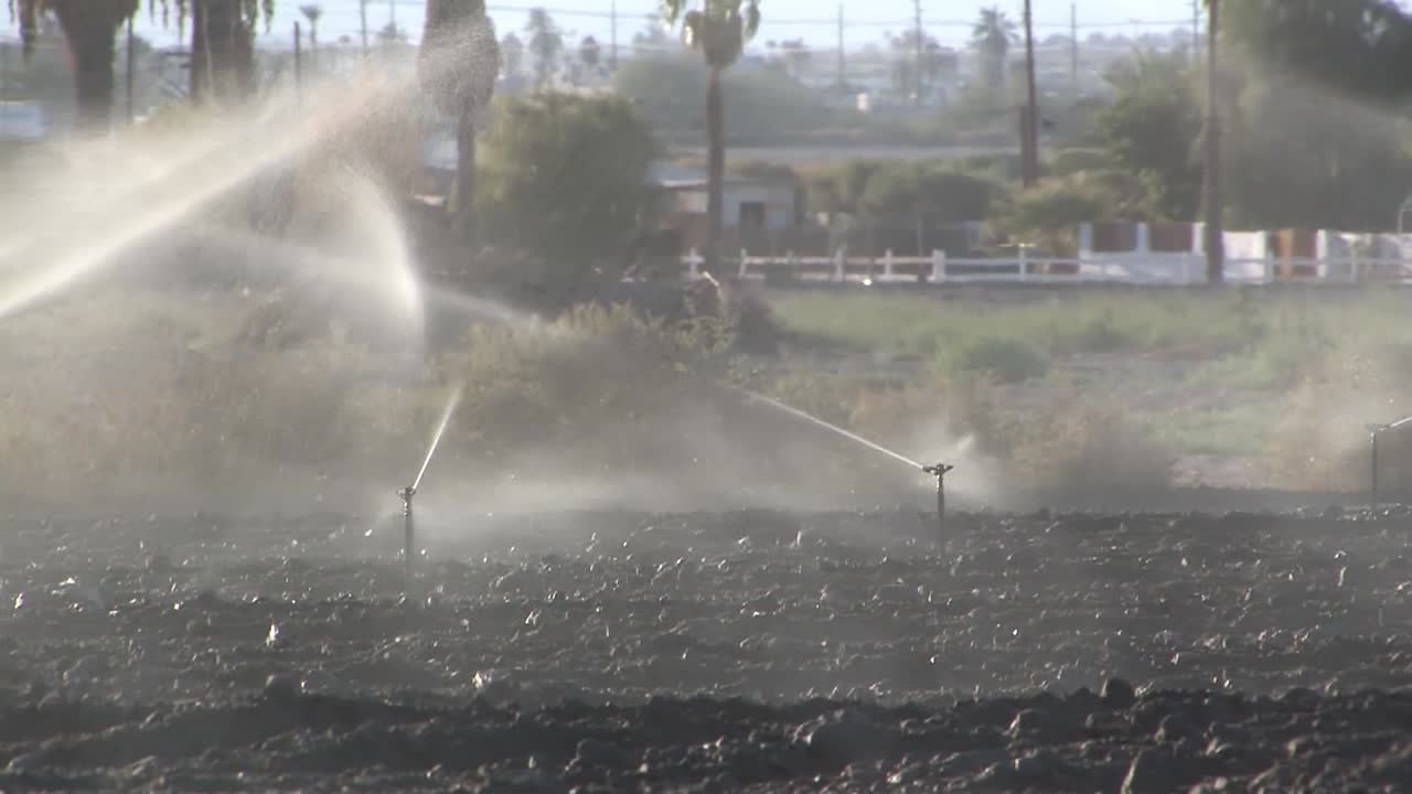 Irrigatori nel sud della California, USA-1