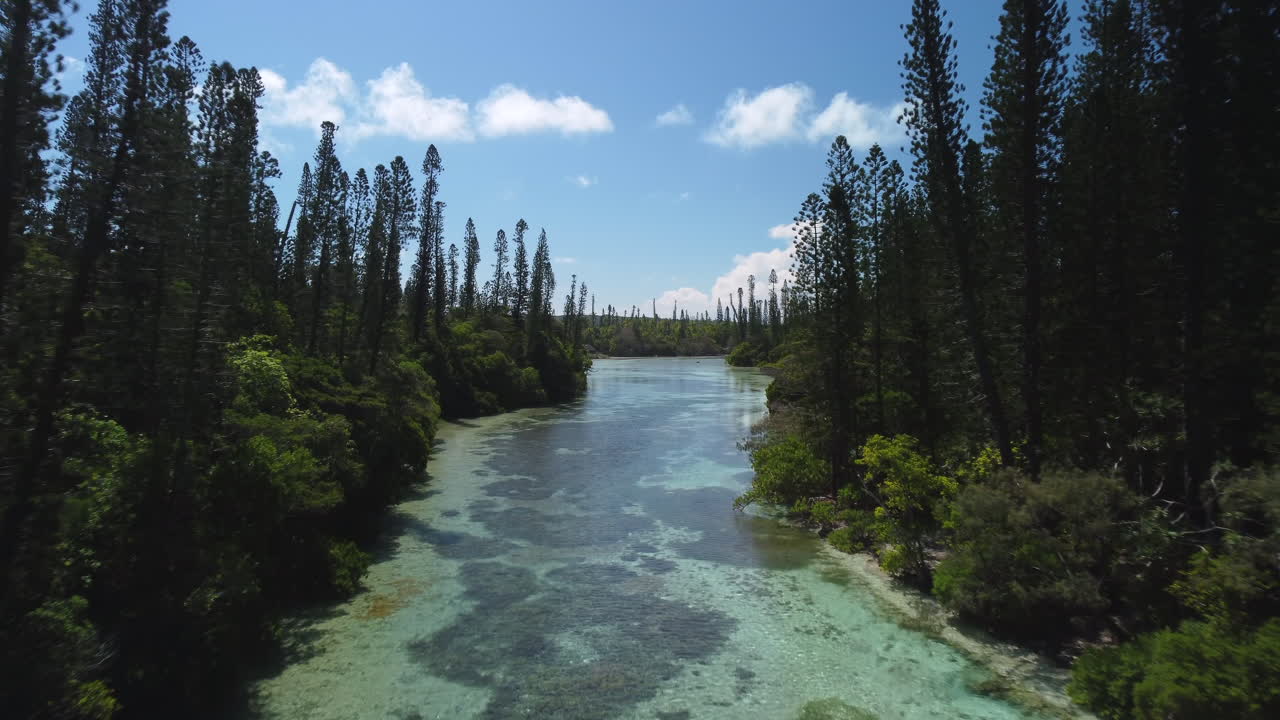 cerca de la bahía de oro en la isla de los pinos, la laguna fluye a través de ile wete y el increíble bosque de la isla - sobrevuelo aéreo