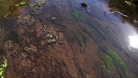 Río-De-Agua-Clara-Lleno-De-Musgo-Con-Estructuras-Antiguas