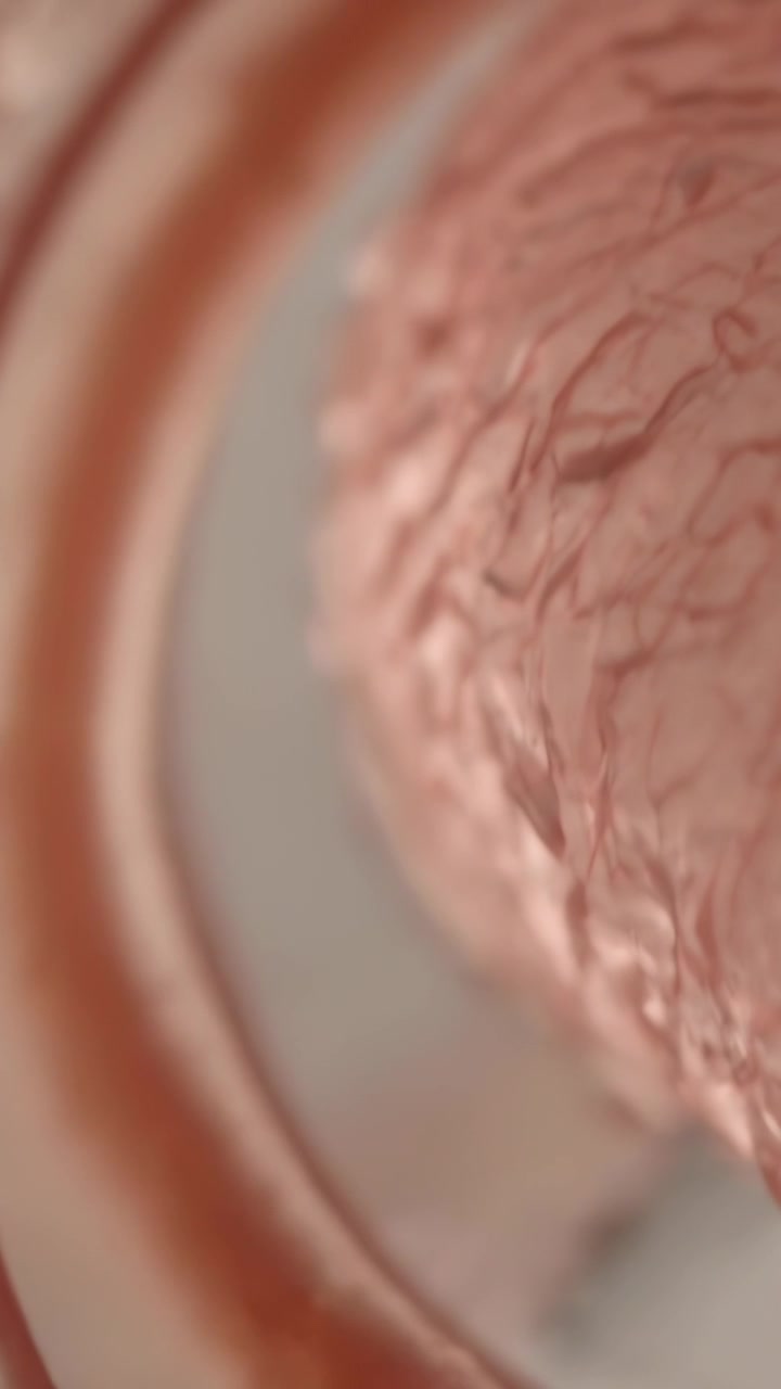 Video verticale: Rivelando in macro una cresta curva e un cumulo rugoso della pelle, telefono tenuto in mano che rifocalizza