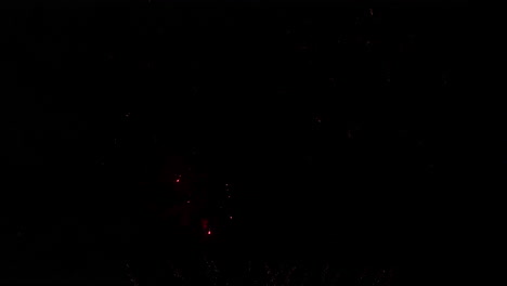 colorido espectáculo de fuegos artificiales por la noche en el fondo del cielo