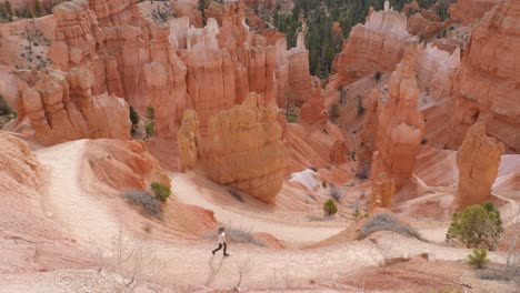 Slow-motion-shot-of-female-hiker-walking-on-trail-with-hoodoos-around-in-Bryce-Canyon-National-Park-in-Utah,-USA