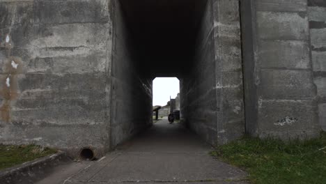 miniature australian shepherd running through a concrete doorway