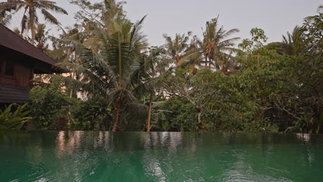 luxury swimming pool set in lush countryside of palm trees