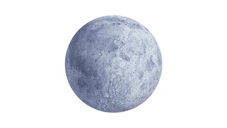 animación de nieve cayendo sobre la luna llena sobre un fondo blanco